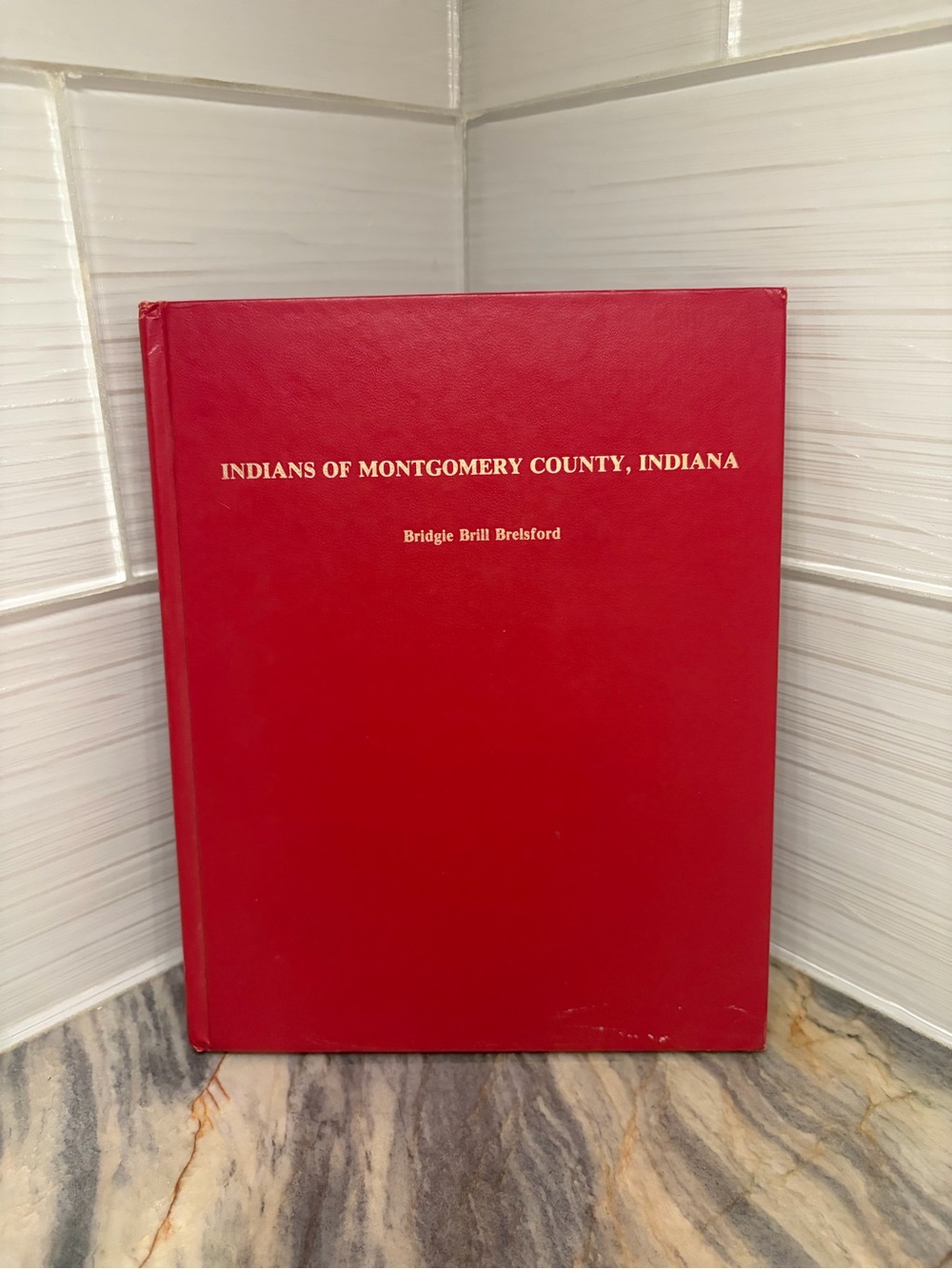 Native American INDIANS OF MONTGOMERY COUNTY INDIANA IN Bridgie Brill Brelsford